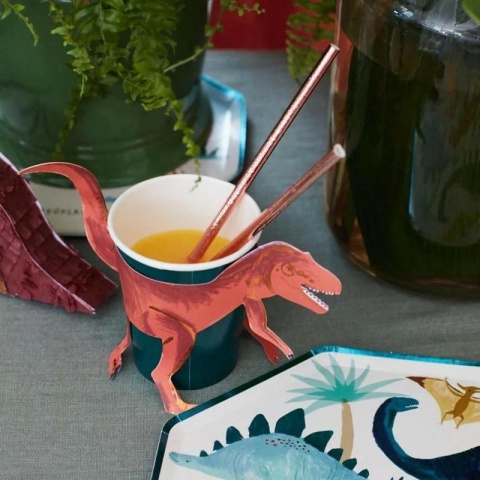 DINOZAURY zestaw dla 8 osób